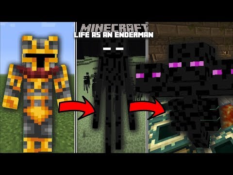 MC Naveed - Minecraft - Minecraft LIFE AS AN ENDERMAN MOD / FIGHT OFF THE EVIL WITHER WITH YOUR ENDERMAN!! Minecraft