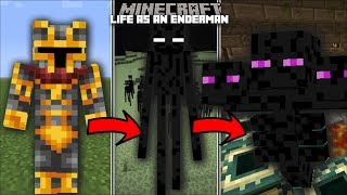 Minecraft LIFE AS AN ENDERMAN MOD / FIGHT OFF THE EVIL WITHER WITH YOUR ENDERMAN!! Minecraft