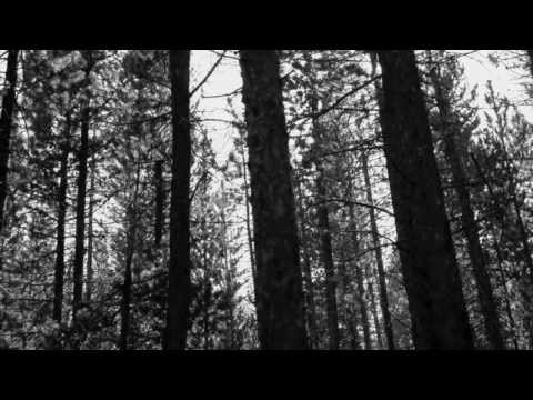 COVENHOVEN - A Love Sincere