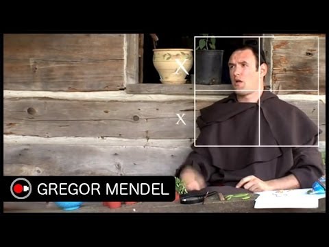 Gregor Mendel Sketch - Untamed Science