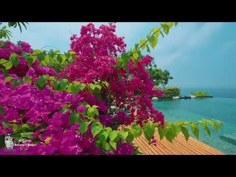 Suleymer x Efemero🌴PARADISE🌴