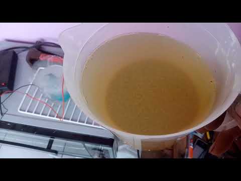 tirando ouro de placas eletrônicas fácil e rápida