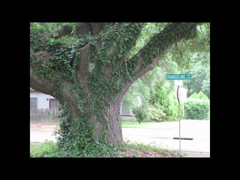 Video thumbnail for I Can't Hold It In Anymore