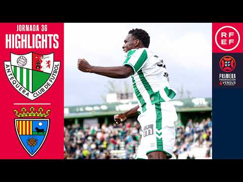bg-highlight