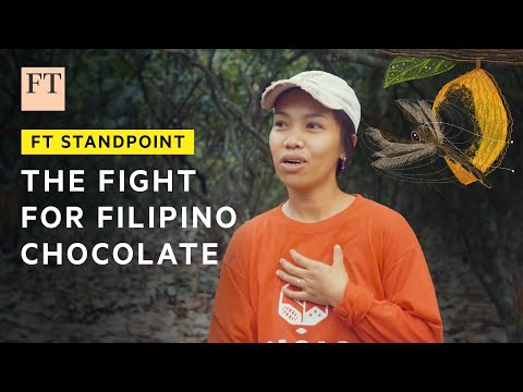Innovative Solutions: Saving the Filipino Cacao Industry