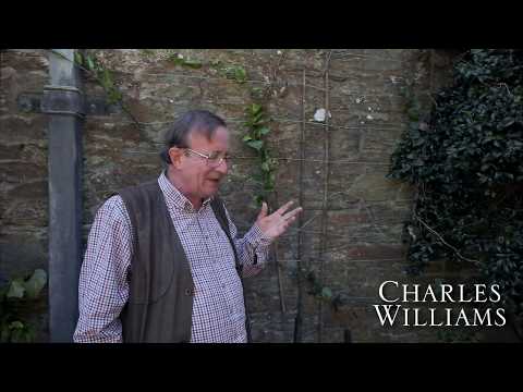 Training Climbers - Burncoose Nurseries