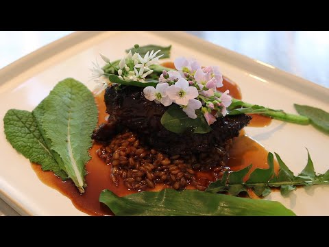 Slow Cooked Shin of Beef by Matt Powell