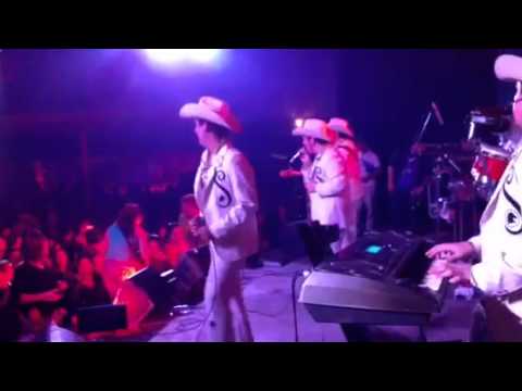 Los potros del sur - las flores de mi florero