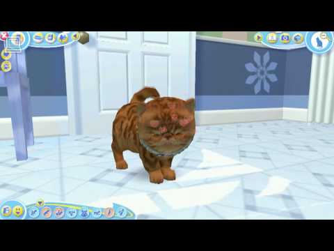 catz 2 pc game