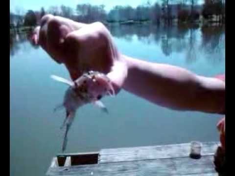 video-2010-03-31-12-29-18