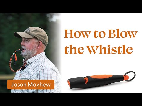 How to Blow the Whistle