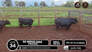 Vídeo LOTE 34