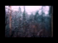 The Lumineers Falling 
