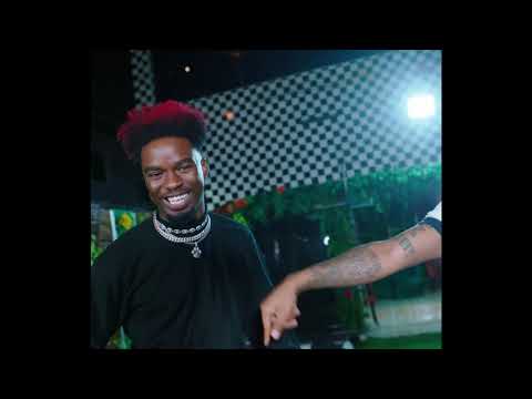 DMW   Mafa Mafa feat  Davido, The Flowolf, Peruzzi & Dremo Official Video