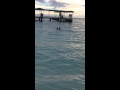 IMG 6393