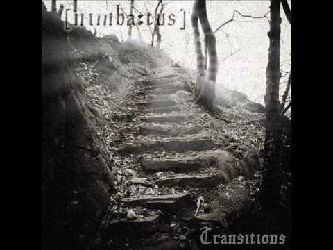 Nimbatus - Awakening Hour