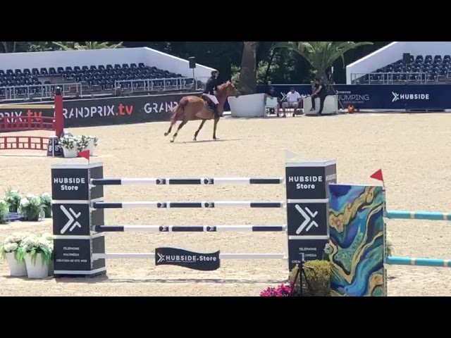 Ingmar - First dam of Banks vd Meiboom