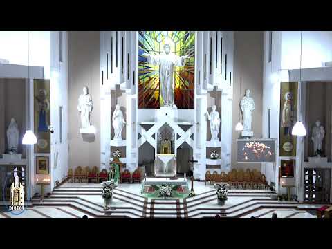 LIVE - Biserica Romano-Catolică  Sfinţii Petru si Paul  Bacau