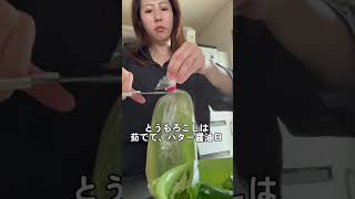 #二児の母 #vlog #BBQ#お家時間 #日常vlog