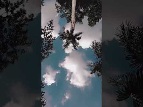 ❤️✨#trending#nature#viral #shortvideo