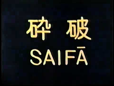 All 12 Goju-Ryu Kata with Bunkai by Morio Higaonna