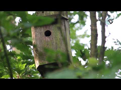 Derfor skal du tømme dine redekasser