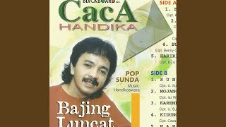 Download lagu Bajing luncat mp3