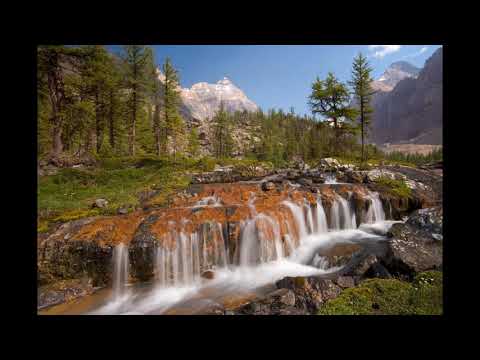 Numeri - Capitolul 04 (lectura - Costel Hofer)