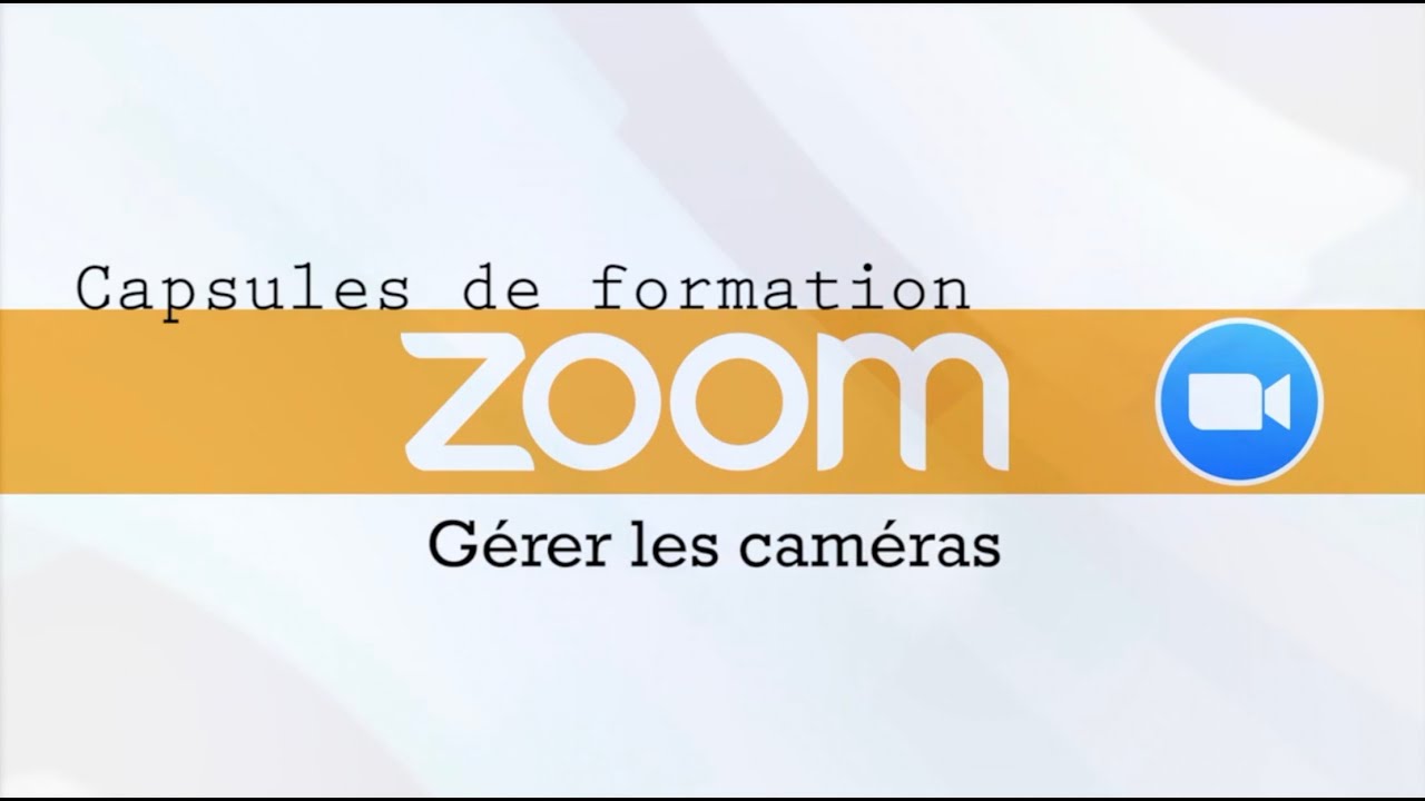 Capsule de formation Zoom pour animation : Gérer les caméras