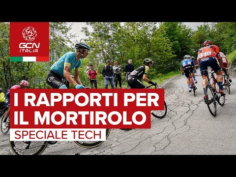 I rapporti utilizzati dai PRO per scalare il Mortirolo