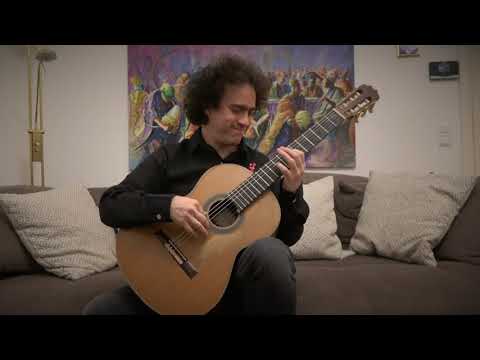 Cecilio Perera plays Leo Brouwer - Estudios Sencillos I - X