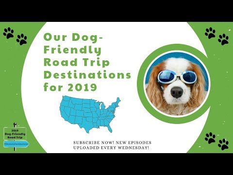 download lagu mp3 mp4 Dog Friendly Pennsylvania, download lagu Dog Friendly Pennsylvania gratis, unduh video klip Dog Friendly Pennsylvania