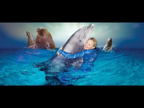Aquabella - Dolfinarium Harderwijk