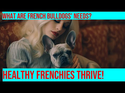 Nutrition 101 for Adult French Bulldogs: Essential Tips for a Healthy Life