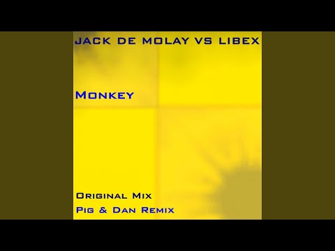 Monkey (Pig Dan Remix)