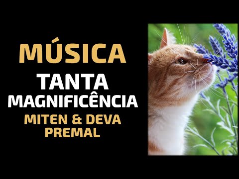 Tanta Magnificência (So Much Magnificence)  Miten & Deva Premal