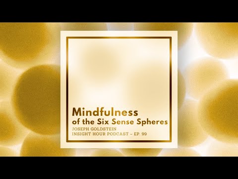 Joseph Goldstein – Insight Hour – Ep. 99 – Mindfulness of the Six Sense Spheres