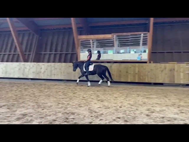 Darck Dream talentueuses 4 ans 