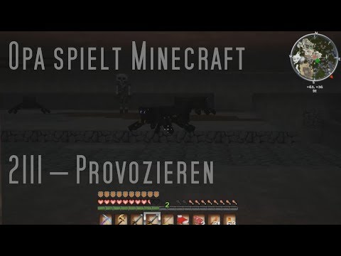 Opa spielt Minecraft 2111 – Provozieren