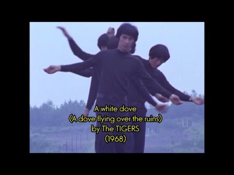 The TIGERS - A white dove （Eng sub）/ ザ・タイガース - 廃虚の鳩