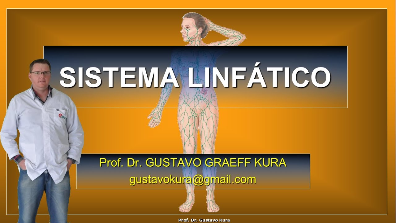 Anatomia do sistema linfático.