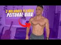 Peitoral GIGANTE - As 3 Melhores FLEXÕES