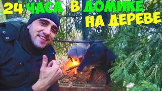 Выживание 24 часа В домике на дереве Ставим раколовки Экраны Ловим щуку