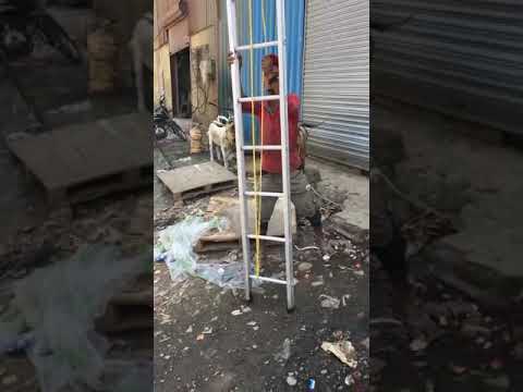 Aluminium Wall Support Extension Ladder