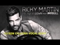 Mr. Put It Down - Ricky Martin Feat. Pitbull ( Alyson ...