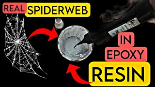 Real SPIDERWEB In EPOXY RESIN ?