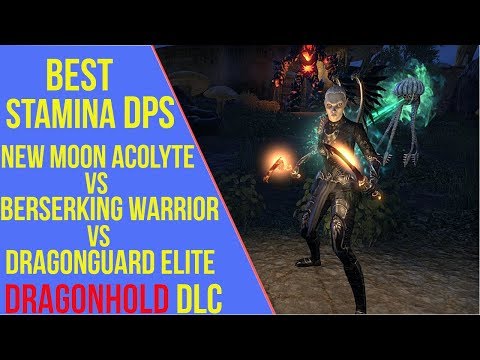 ESO Dragonhold - Best Stamina DPS Set | New Moon Acolyte vs Berserking Warrior vs Dragonguard Elite
