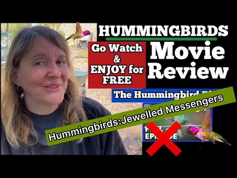 HUMMINGBIRDS * Let Me Direct You to An Amazing Movie on the Hummingbird that You Will LOVE, Feeding