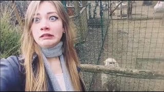 faze tari incearca sa nu razi