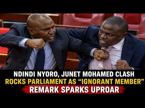 Ndindi Nyoro, Junet Mohamed clash rocks Parliament over “ignorant member” remark